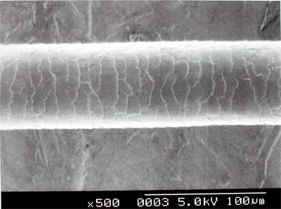 microscopio elettronico1