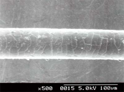 microscopio elettronico2