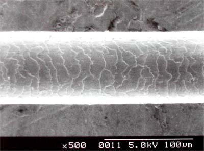 microscopio elettronico5