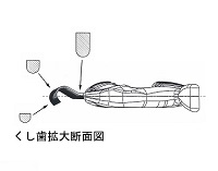 ピロコームの断面図